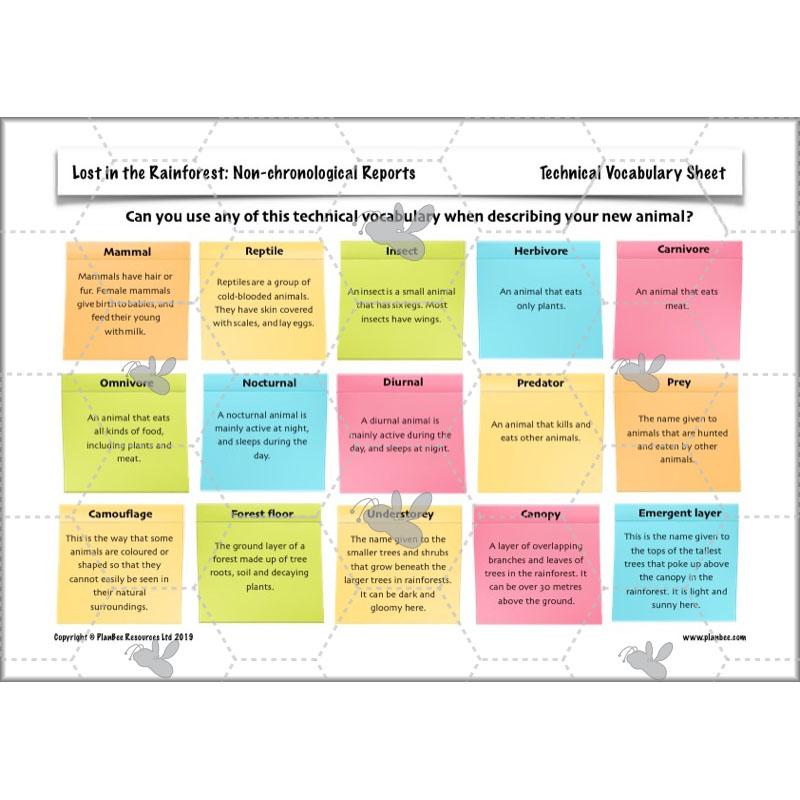 PlanBee Lost in the Rainforest: Non chronological Reports Year 3 English Plans & Resources