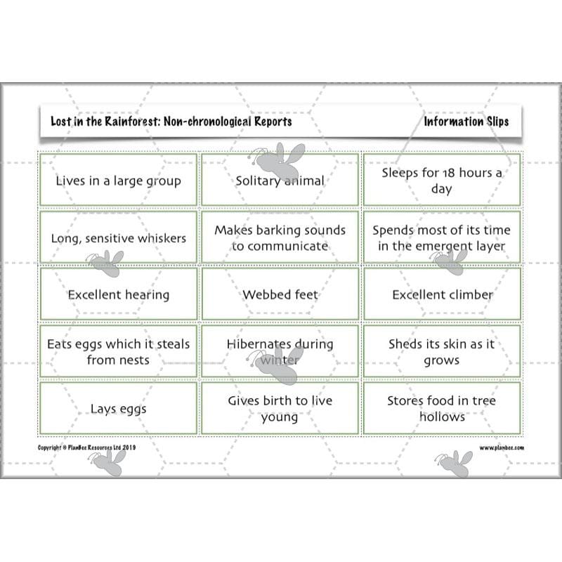 PlanBee Lost in the Rainforest: Non chronological Reports Year 3 English Plans & Resources