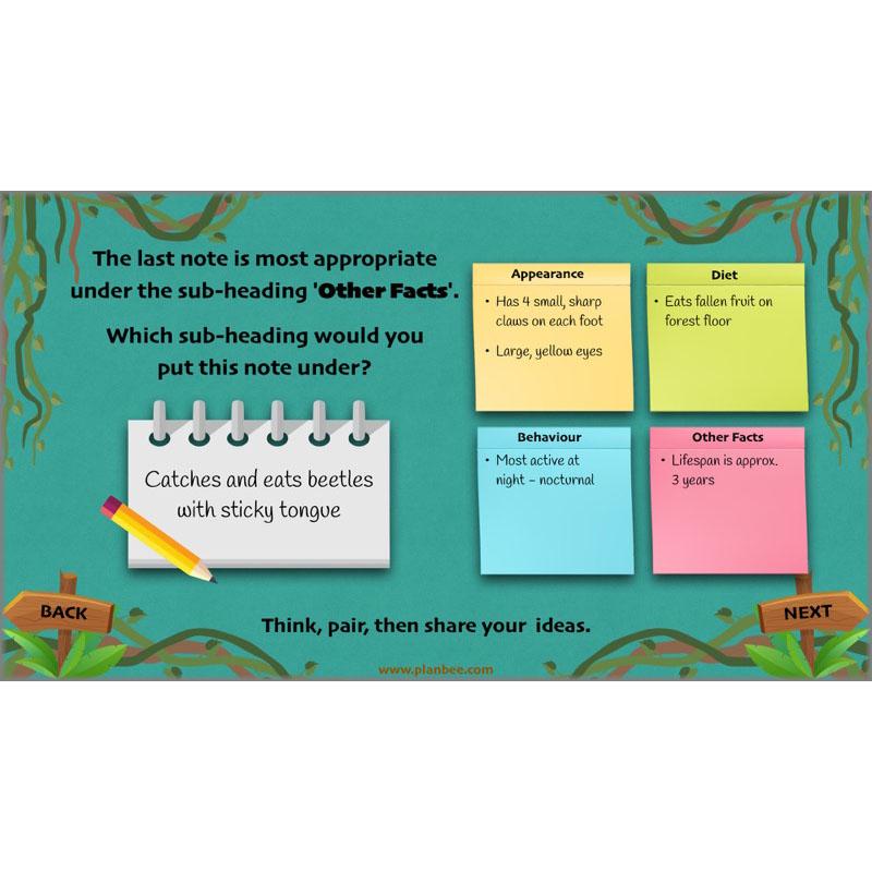 PlanBee Lost in the Rainforest: Non chronological Reports Year 3 English Plans & Resources