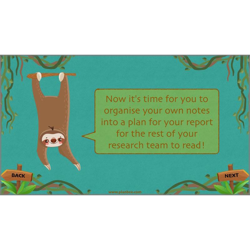 PlanBee Lost in the Rainforest: Non chronological Reports Year 3 English Plans & Resources
