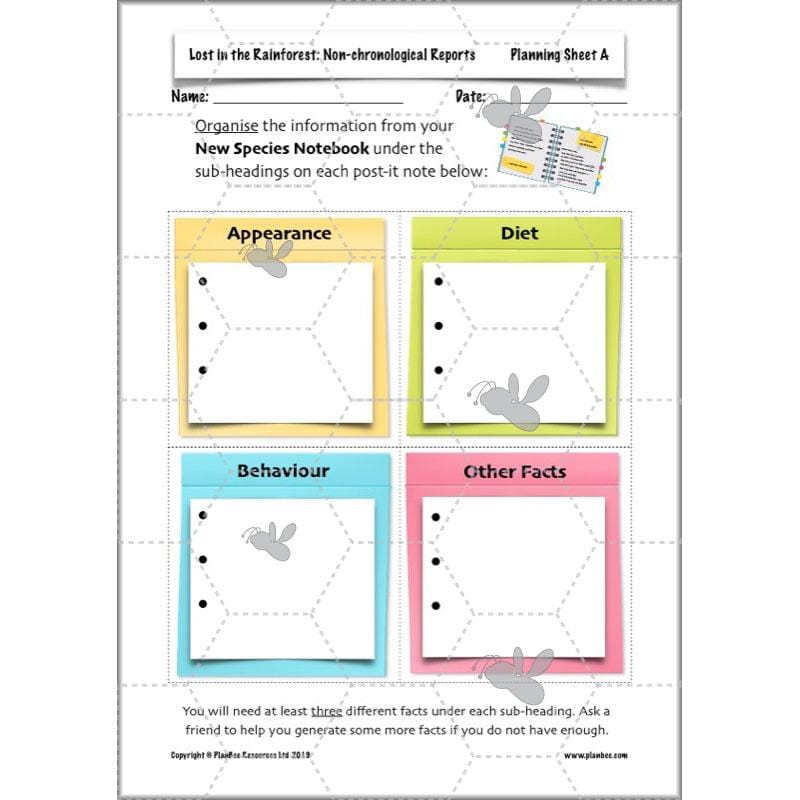 PlanBee Lost in the Rainforest: Non chronological Reports Year 3 English Plans & Resources