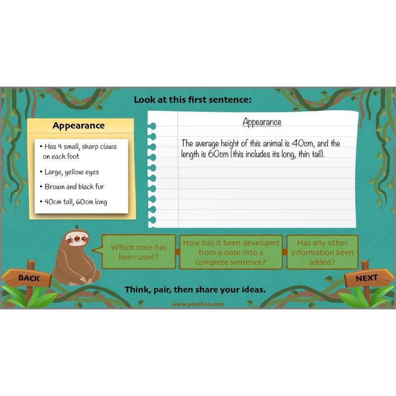 PlanBee Lost in the Rainforest: Non chronological Reports Year 3 English Plans & Resources
