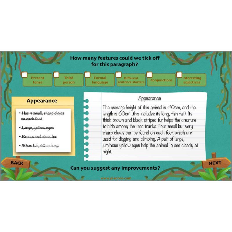 PlanBee Lost in the Rainforest: Non chronological Reports Year 3 English Plans & Resources