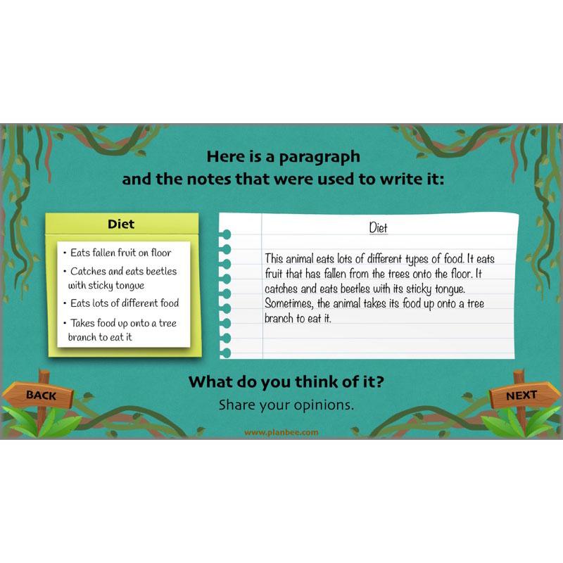 PlanBee Lost in the Rainforest: Non chronological Reports Year 3 English Plans & Resources