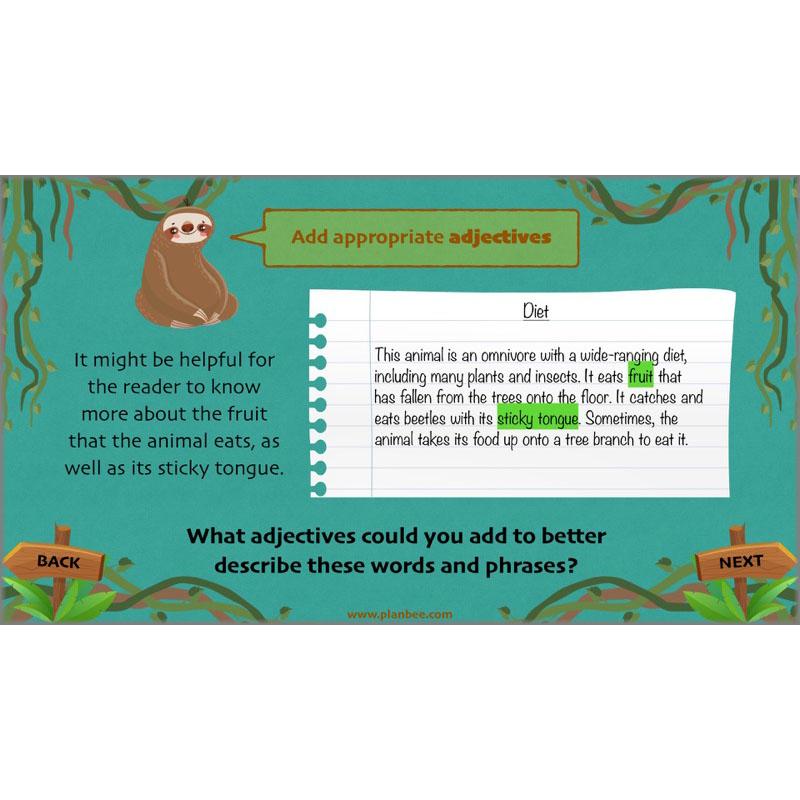 PlanBee Lost in the Rainforest: Non chronological Reports Year 3 English Plans & Resources