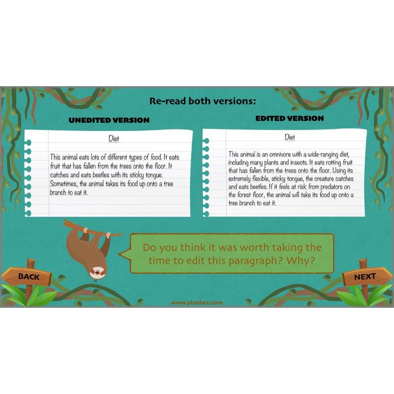 PlanBee Lost in the Rainforest: Non chronological Reports Year 3 English Plans & Resources