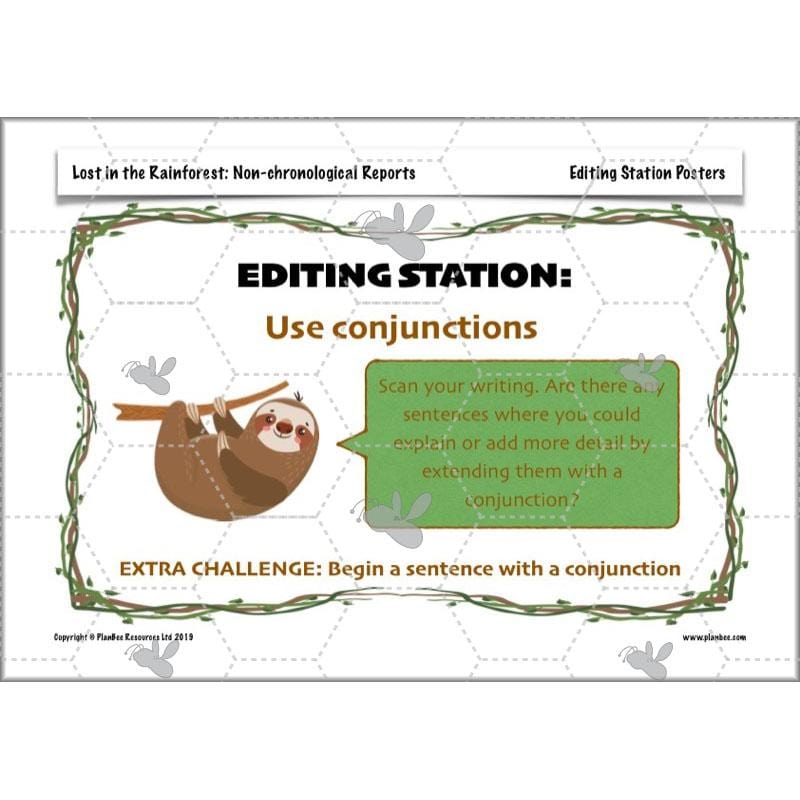 PlanBee Lost in the Rainforest: Non chronological Reports Year 3 English Plans & Resources