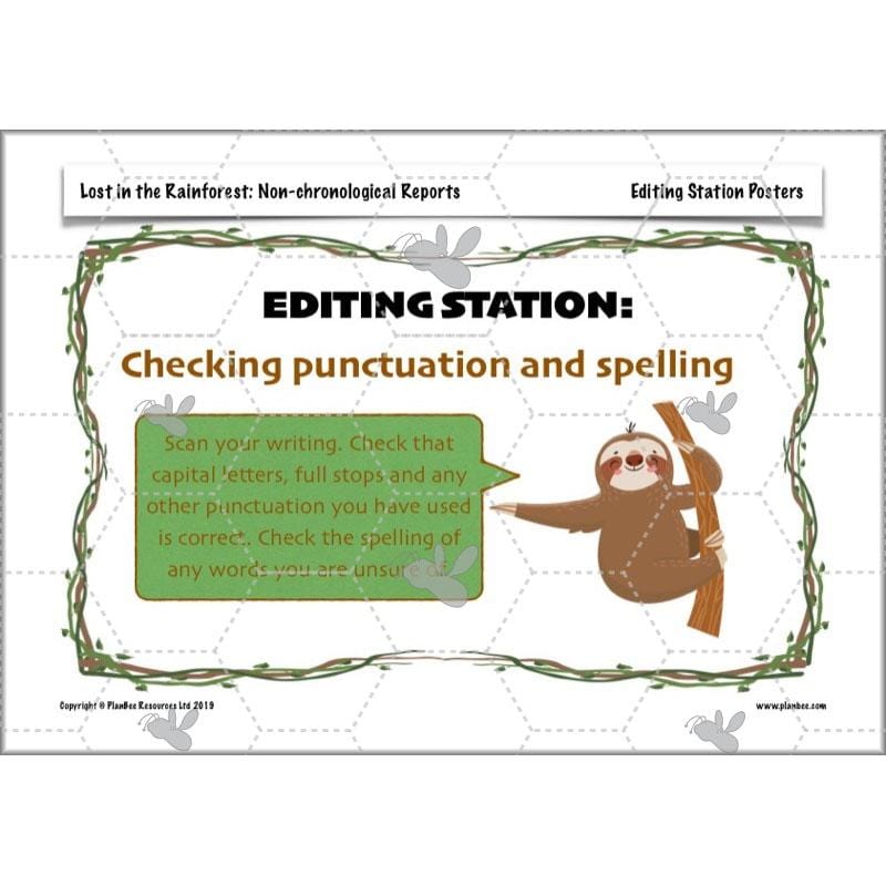 PlanBee Lost in the Rainforest: Non chronological Reports Year 3 English Plans & Resources