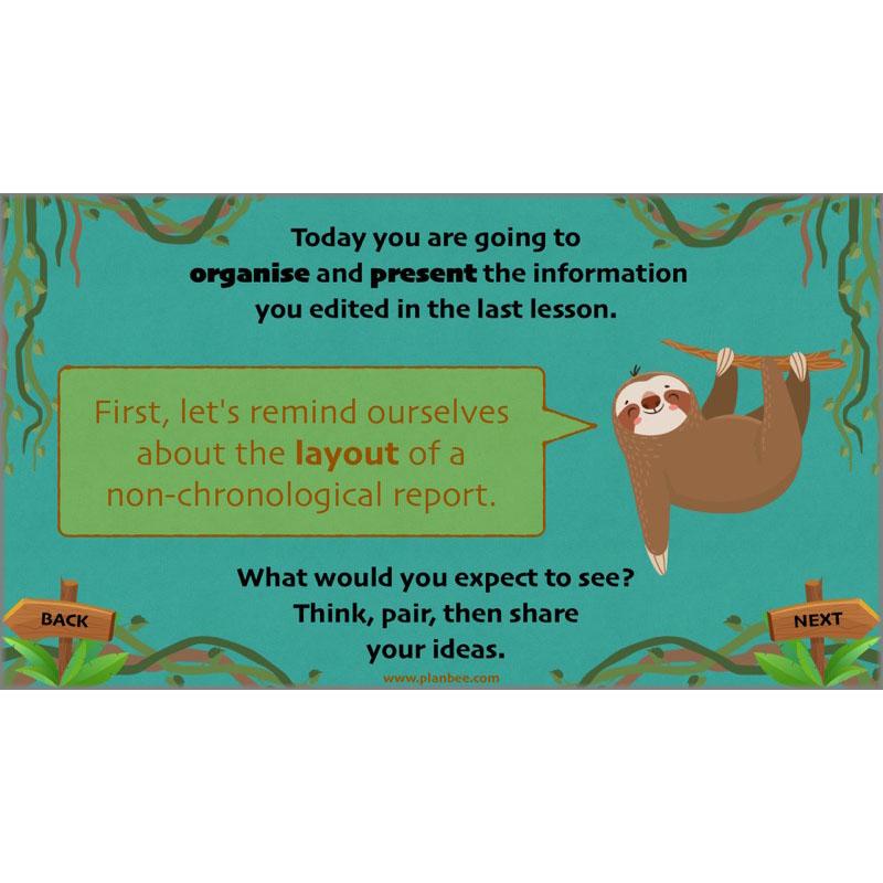 PlanBee Lost in the Rainforest: Non chronological Reports Year 3 English Plans & Resources