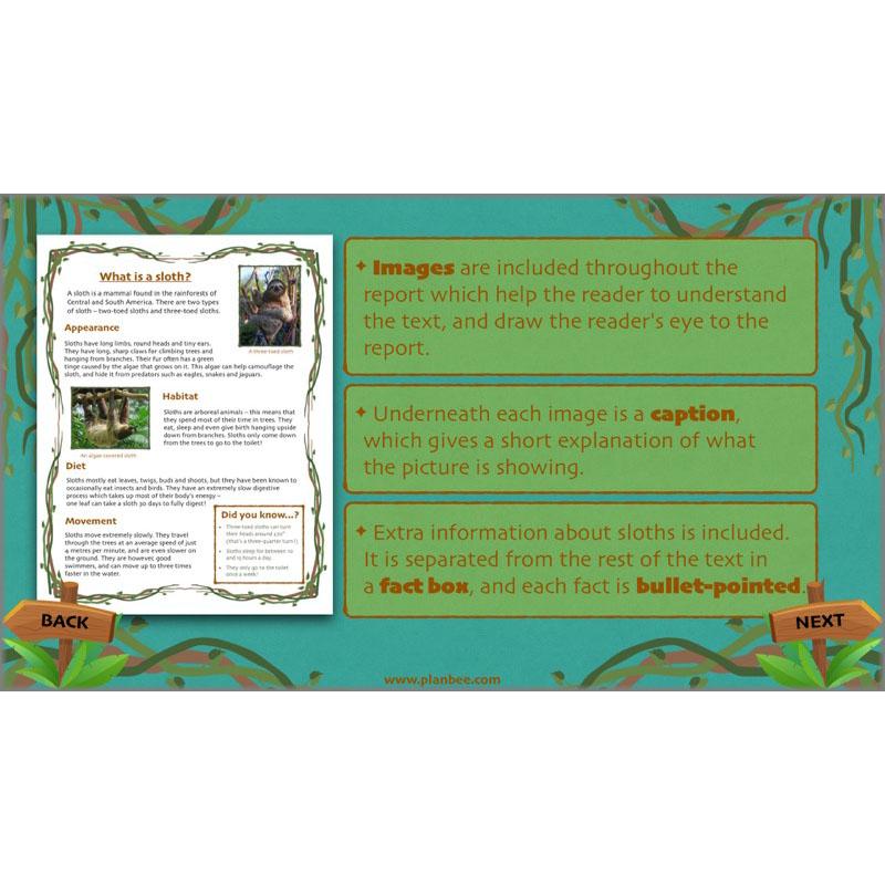 PlanBee Lost in the Rainforest: Non chronological Reports Year 3 English Plans & Resources