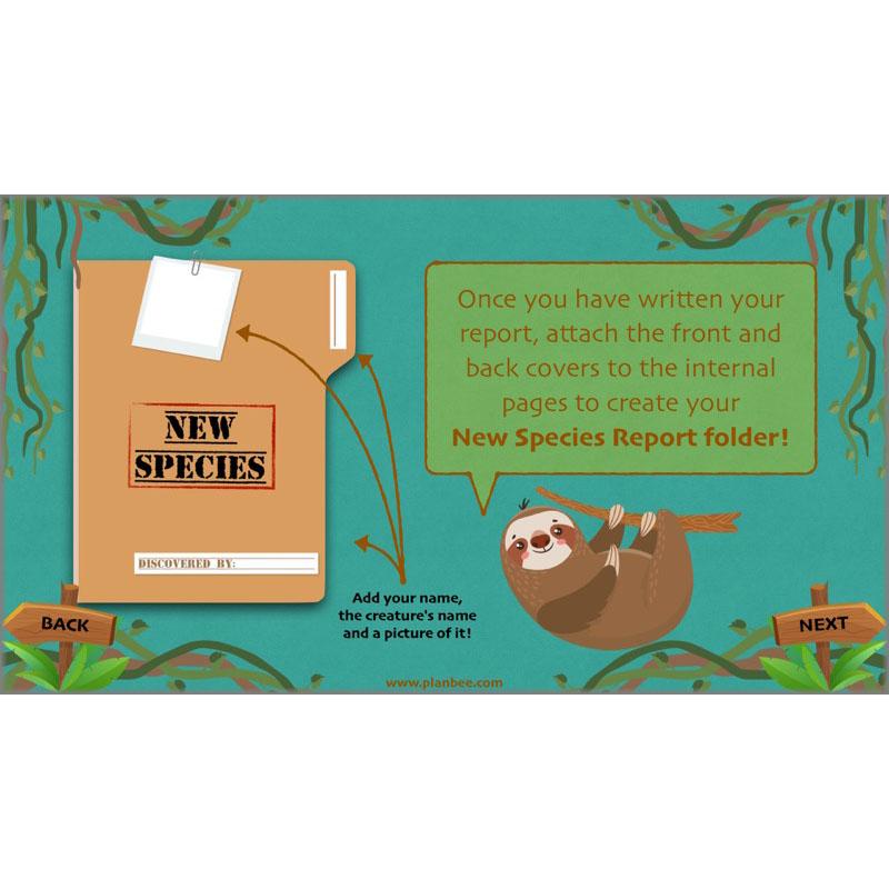 PlanBee Lost in the Rainforest: Non chronological Reports Year 3 English Plans & Resources