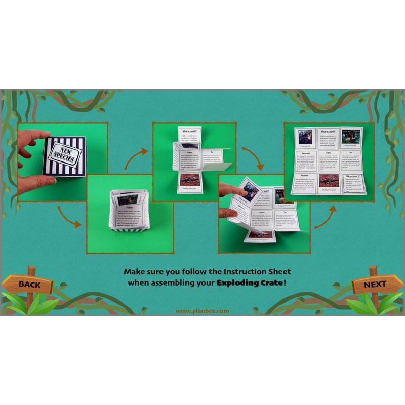 PlanBee Lost in the Rainforest: Non chronological Reports Year 3 English Plans & Resources