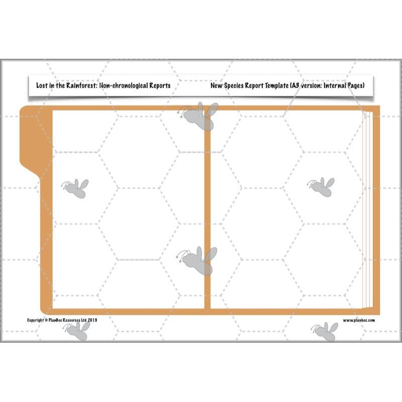 PlanBee Lost in the Rainforest: Non chronological Reports Year 3 English Plans & Resources