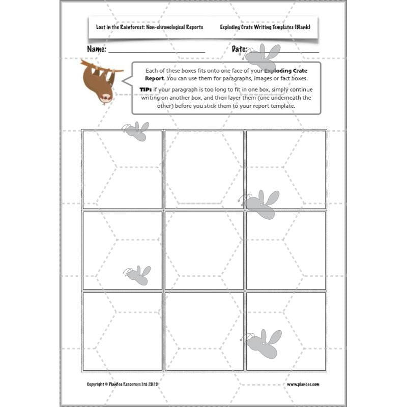 PlanBee Lost in the Rainforest: Non chronological Reports Year 3 English Plans & Resources