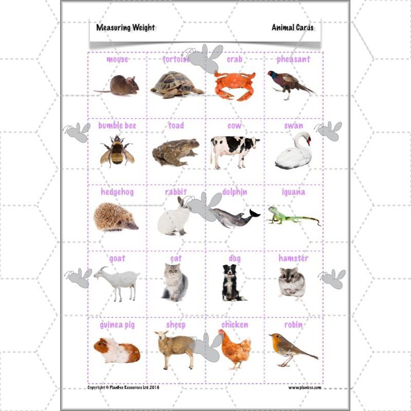 PlanBee Measuring Weight - Measurement: Primary Year 4 Maths Planning KS2