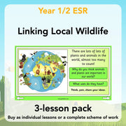 PlanBee Biodiversity KS1 Linking Local Wildlife ESR Lessons by PlanBee