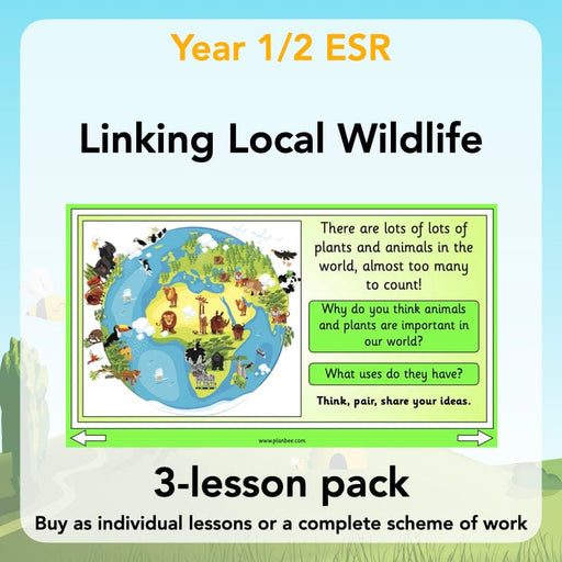 PlanBee Biodiversity KS1 Linking Local Wildlife ESR Lessons by PlanBee