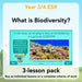 PlanBee Biodiversity KS2 ESR Lesson What is Biodiversity? by PlanBee