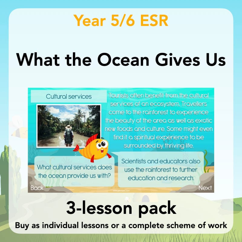 PlanBee Ocean Ecosystems KS2 ESR Lessons by PlanBee