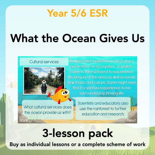 PlanBee Ocean Ecosystems KS2 ESR Lessons by PlanBee