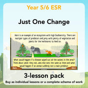 PlanBee Biodiversity and Conservations lessons for KS2 by PlanBee