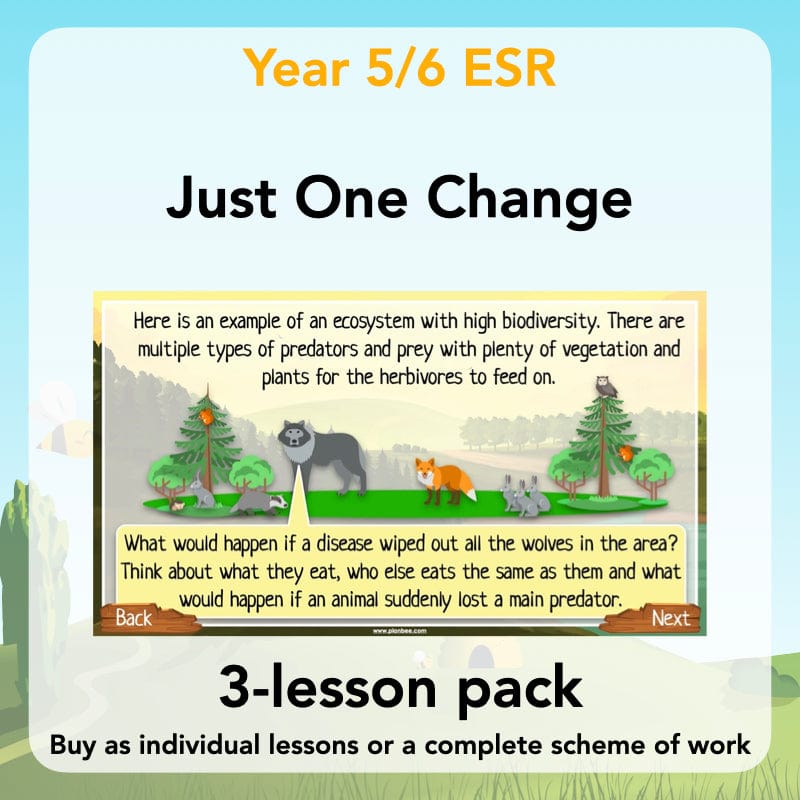 PlanBee Biodiversity and Conservations lessons for KS2 by PlanBee