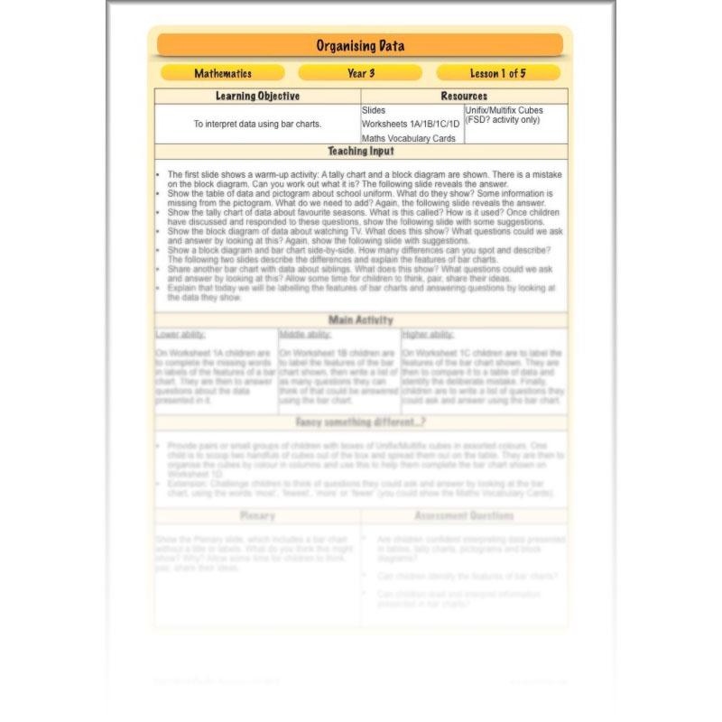 PlanBee Year 3 Statistics Organising Data PlanBee Maths Lesson