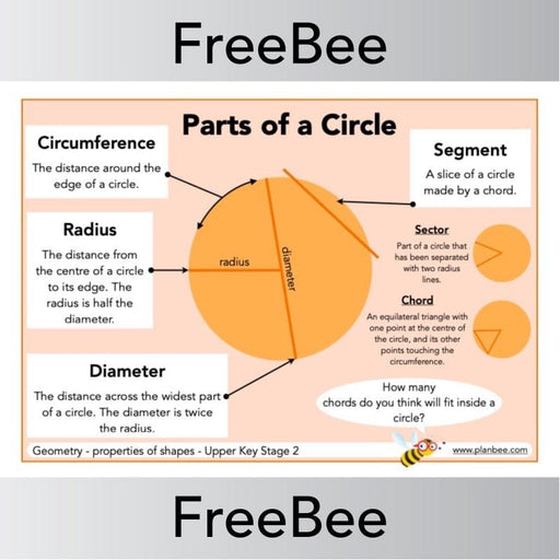 PlanBee Parts of a Circle Poster KS2 | Free Resource by PlanBee