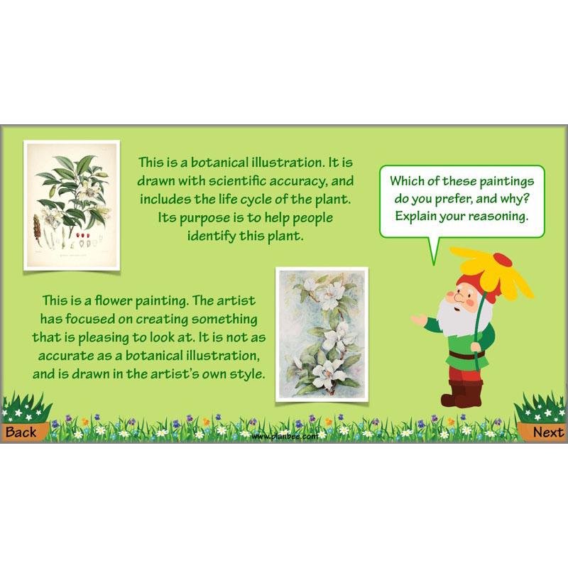 PlanBee Plant Art Lessons Year 3 & Year 4 PlanBee Art scheme of work