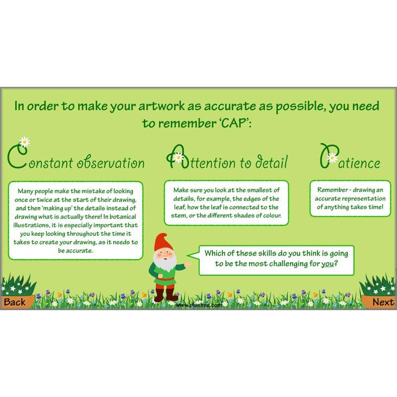 PlanBee Plant Art Lessons Year 3 & Year 4 PlanBee Art scheme of work