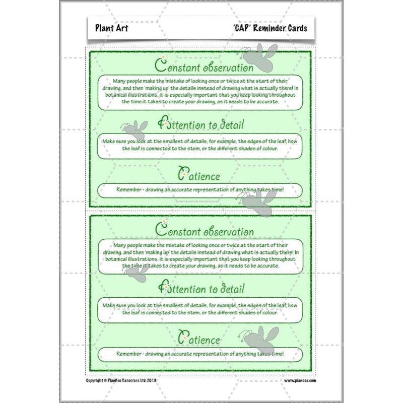 PlanBee Plant Art Lessons Year 3 & Year 4 PlanBee Art scheme of work