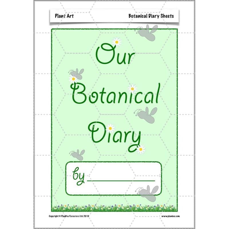 PlanBee Plant Art Lessons Year 3 & Year 4 PlanBee Art scheme of work