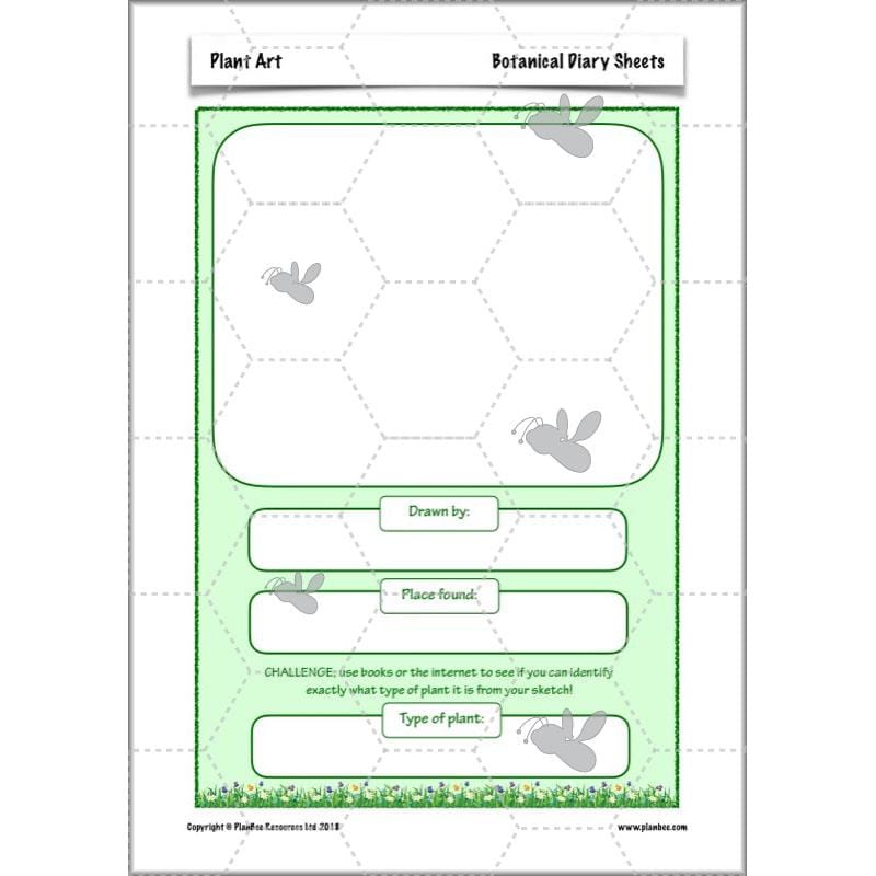 PlanBee Plant Art Lessons Year 3 & Year 4 PlanBee Art scheme of work