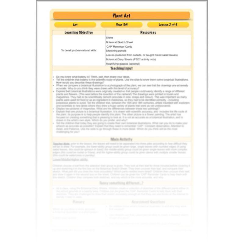 PlanBee Plant Art Lessons Year 3 & Year 4 PlanBee Art scheme of work