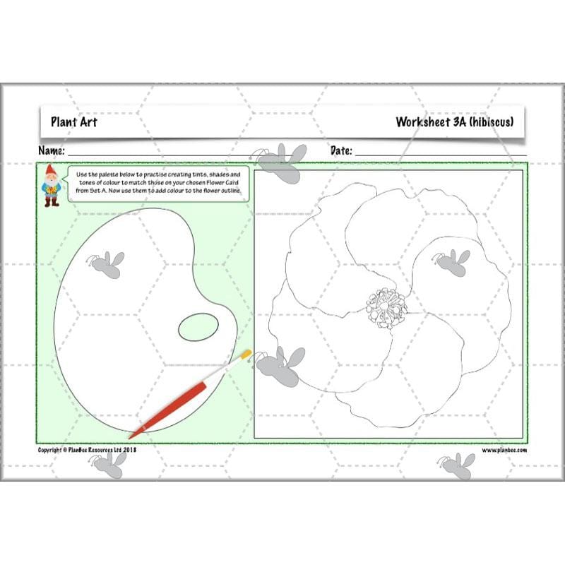 PlanBee Plant Art Lessons Year 3 & Year 4 PlanBee Art scheme of work