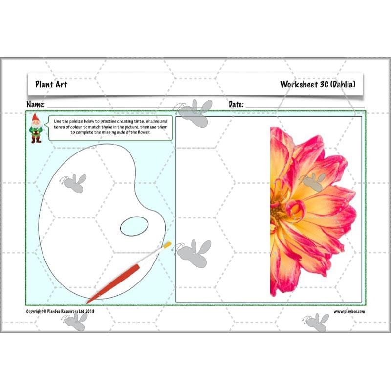 PlanBee Plant Art Lessons Year 3 & Year 4 PlanBee Art scheme of work