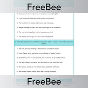 PlanBee FREE Relative Clause Activity Pack by PlanBee