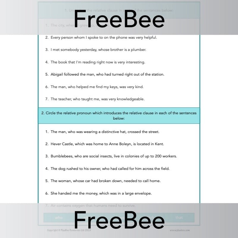 PlanBee FREE Relative Clause Activity Pack by PlanBee