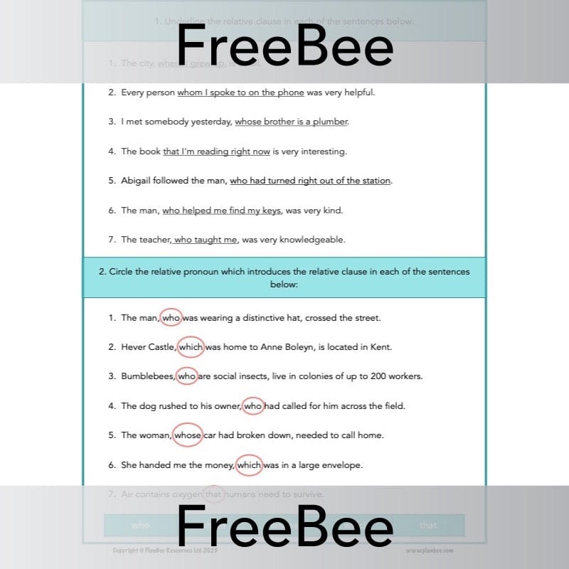 PlanBee FREE Relative Clause Activity Pack by PlanBee