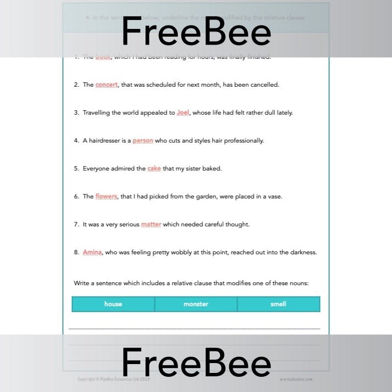PlanBee FREE Relative Clause Activity Pack by PlanBee