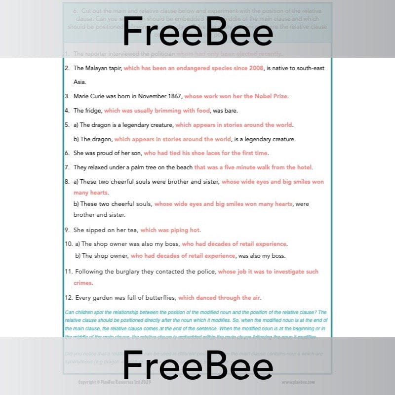 PlanBee FREE Relative Clause Activity Pack by PlanBee