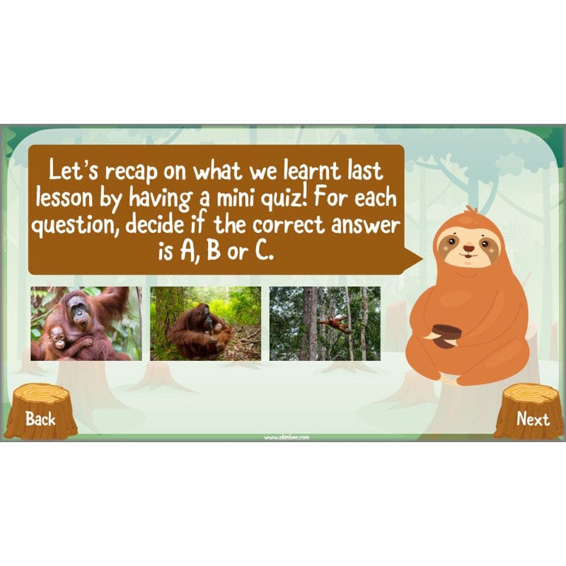 PlanBee Save the Orangutan KS2 Geography Planning Pack | PlanBee