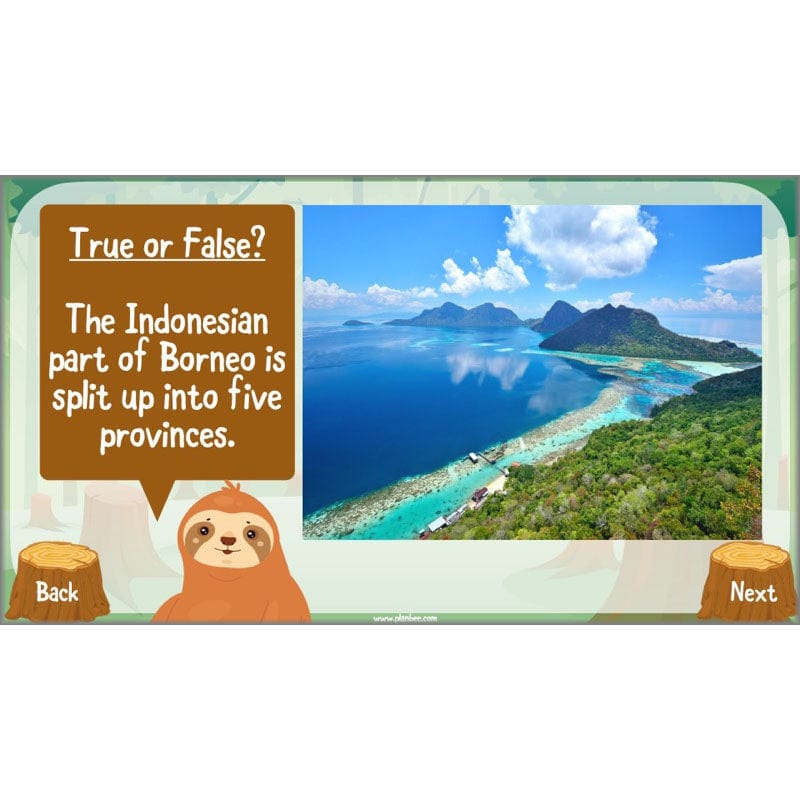 PlanBee Save the Orangutan KS2 Geography Planning Pack | PlanBee