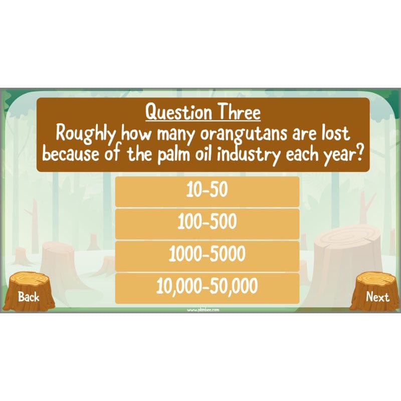 PlanBee Save the Orangutan KS2 Geography Planning Pack | PlanBee