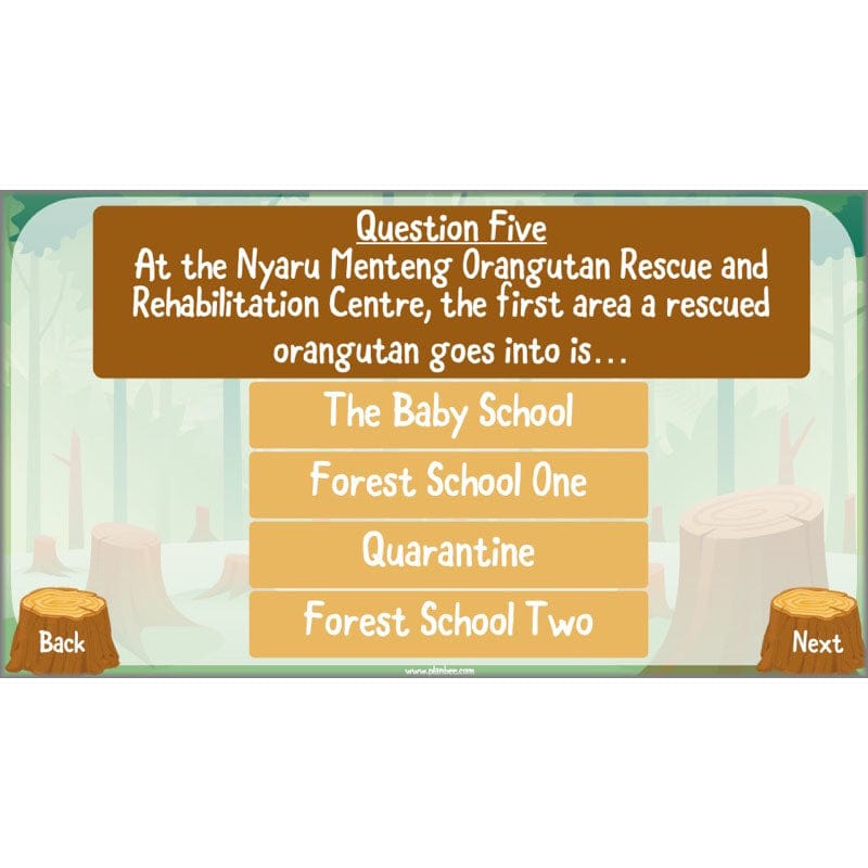 PlanBee Save the Orangutan KS2 Geography Planning Pack | PlanBee