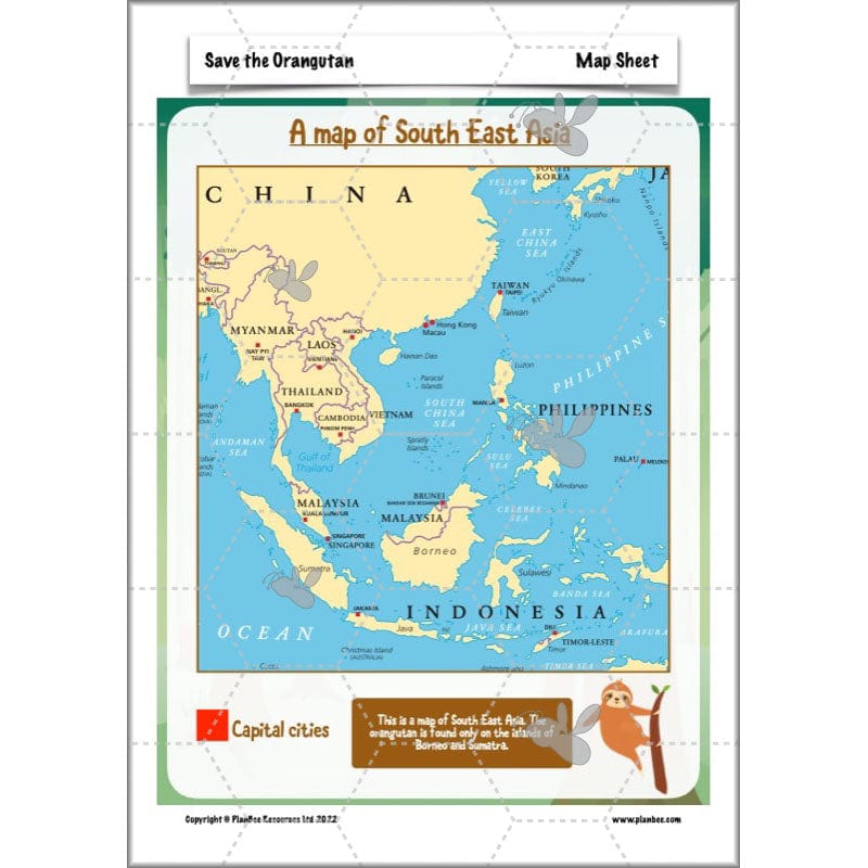 PlanBee Save the Orangutan KS2 Geography Planning Pack | PlanBee