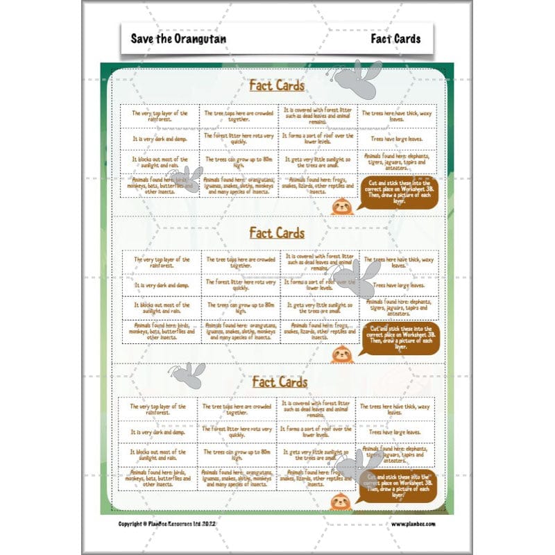 PlanBee Save the Orangutan KS2 Geography Planning Pack | PlanBee