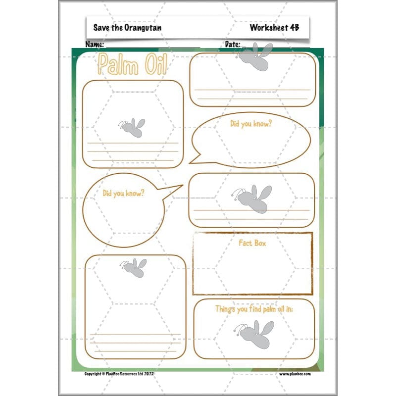 PlanBee Save the Orangutan KS2 Geography Planning Pack | PlanBee