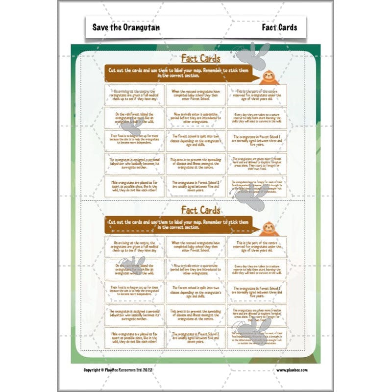 PlanBee Save the Orangutan KS2 Geography Planning Pack | PlanBee