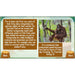 PlanBee Save the Orangutan KS2 Geography Planning Pack | PlanBee